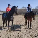 Фото компанії Кінний клуб "Horses Lviv"