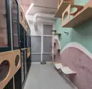 Фото компанії Лапка до лапки
