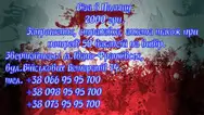 Фото компанії Visa4you