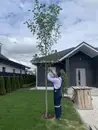 Фото компанії Greenery
