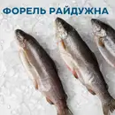 Фото компанії NORD-OST Delicates