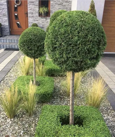 Фото компанії Ggarden_scape