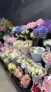 Фото компанії Магазин "Ideal flora"
