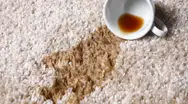 Фото компанії Cristalia
