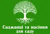 Логотип компанії Саджанці та насіння для саду