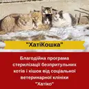 Фото компанії Соціальна ветеринарна клініка "Хатіко"
