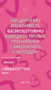 Фото компанії Lady team