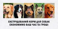 Фото компанії Комбікорм
