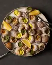 Фото компанії Turbo_snail