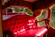 Фото компанії Агенція весільних послуг "Амур"