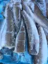 Фото компанії Риба, морепродукти