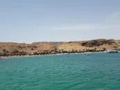 Фото компанії Coral Travel