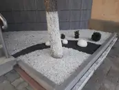Фото компанії DreamyGarden