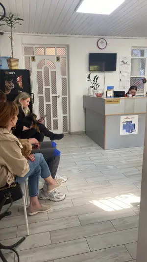 Фото компанії Ветеринарна клініка "ОЛТАН-ВЕТ"