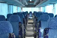 Фото компанії Фірма "IF-Travel"