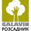 Логотип компанії Розсадник декоративних рослин "Galavin"