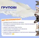 Фото компанії Мовний простір