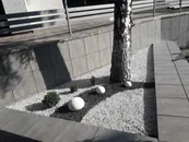 Фото компанії DreamyGarden