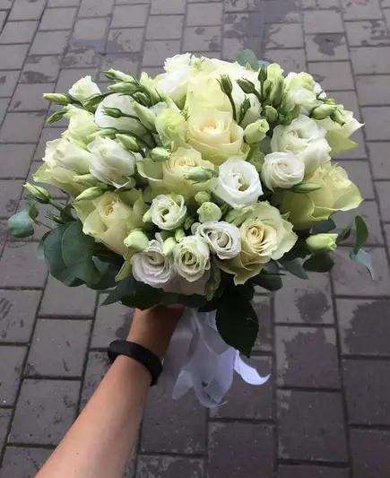 Фото компанії Malva_if