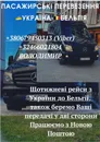 Фото компанії Пасажирські перевезення Польща, Німеччина, Голландія +