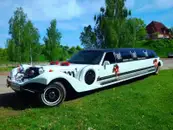 Фото компанії Святковий кортеж