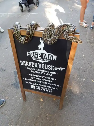 Фото компанії Barbershop "FREE MAN"