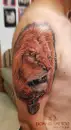 Фото компанії Студія "Doping Tattoo"