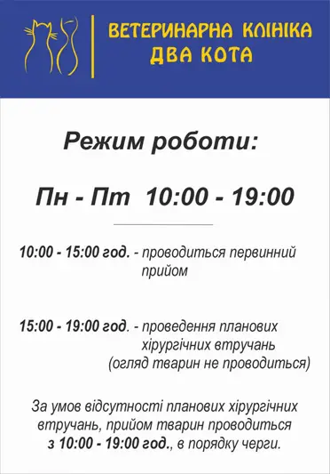 Фото компанії Ветеринарна клініка "Два кота"