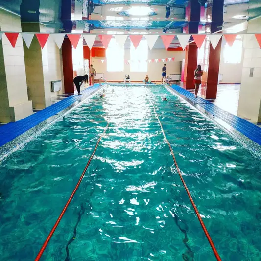 Фото компанії MG Swimming Coach