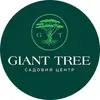Логотип компанії Садовий центр "Giant Tree"