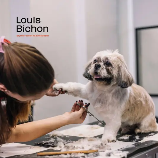 Фото компанії Louis.bichon.lviv