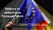 Фото компанії Візи. Робота за кордоном