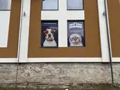 Фото компанії ЗООТОВАРЧИКИ