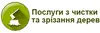 Логотип компанії Послуги з чистки та зрізання дерев