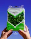Фото компанії KUVEG ITALY