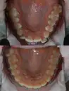Фото компанії Ortho Green