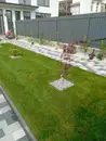 Фото компанії Клумба