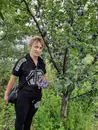 Фото компанії Саджанці від Люби Бойко "Зелений сад"
