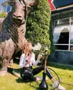 Фото компанії Yak на крилах