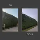 Фото компанії GreenKing