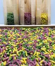 Фото компанії Pasta Che