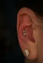 Фото компанії Tattoo Lamarch