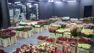 Фото компанії Fresh Rose