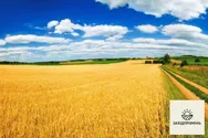 Фото компанії Захід-промінь