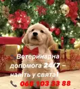 Фото компанії Ветеринарний госпіталь