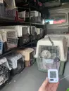 Фото компанії Перевезення тварин за кордон
