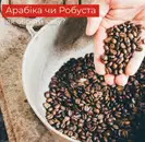 Фото компанії CUP CLUB