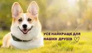 Фото компанії MyFriends