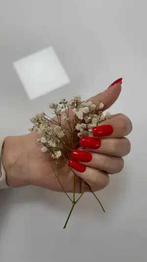 Фото компанії Салон краси "sendetska_beauty"