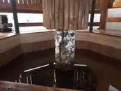 Фото компанії Сауна "Зірочка"